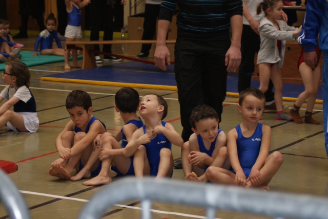 JPD - 16 FEVRIER 2014 - COUSON